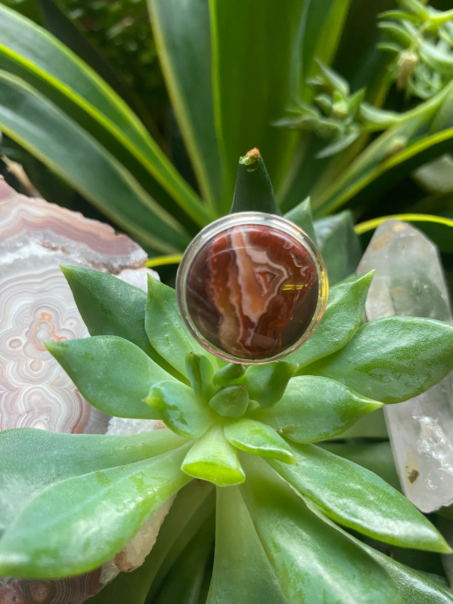 Red Crazy Lace Agate