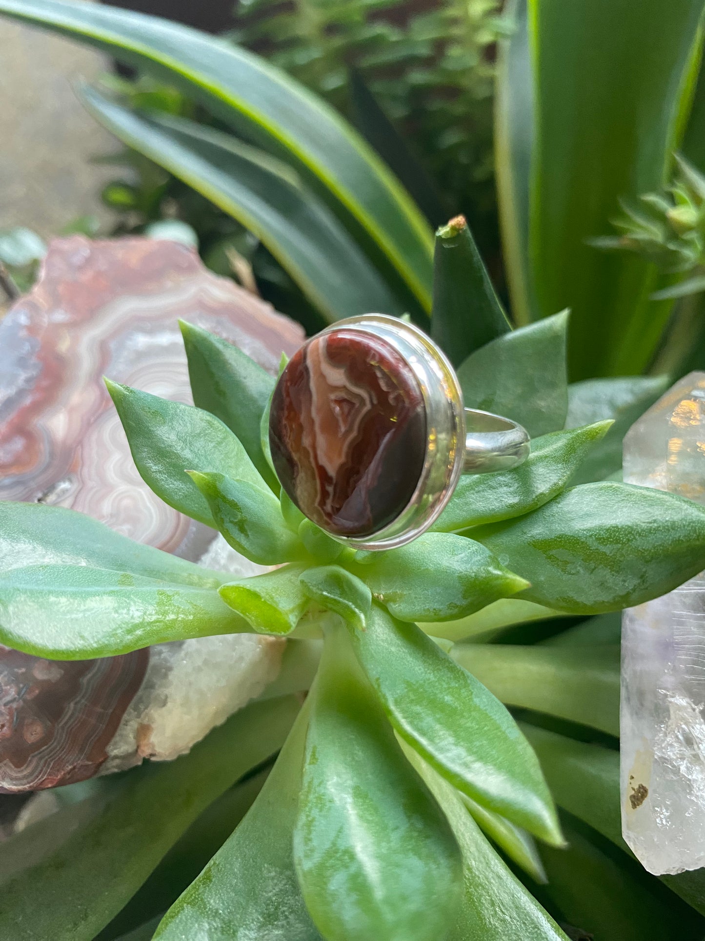 Red Crazy Lace Agate