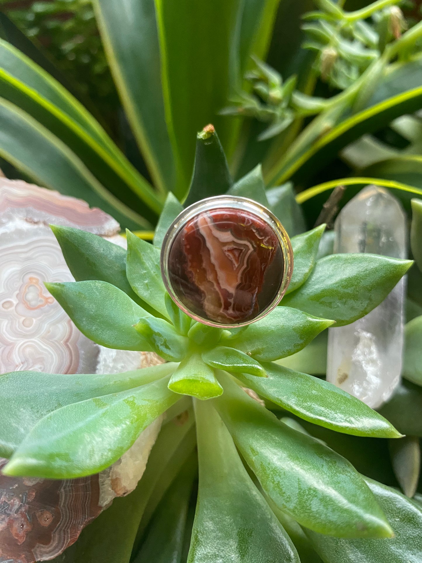 Red Crazy Lace Agate